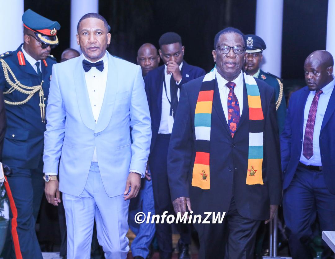 EDevelopZim tweet media