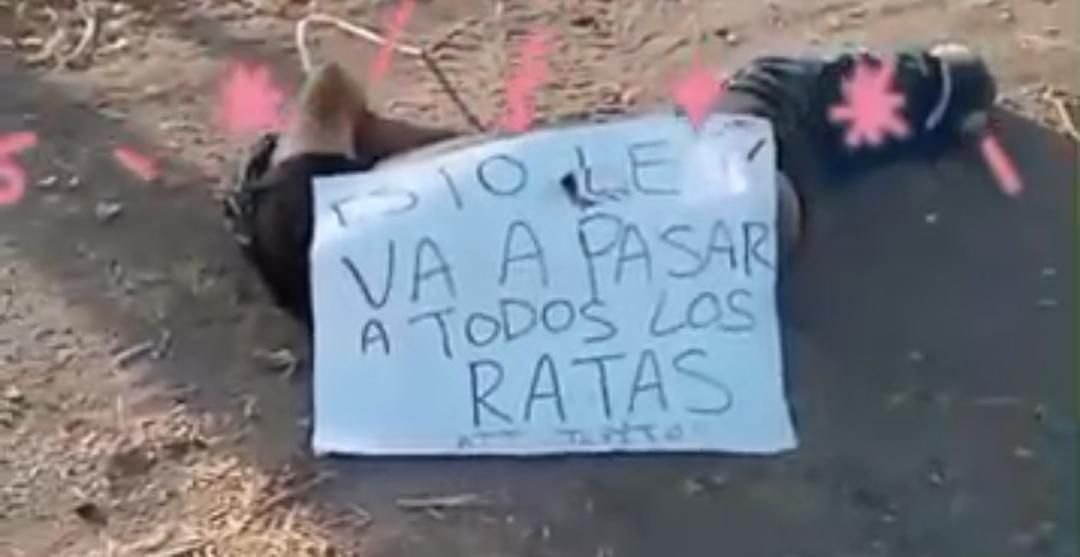 Sinaloa 2024 tweet media