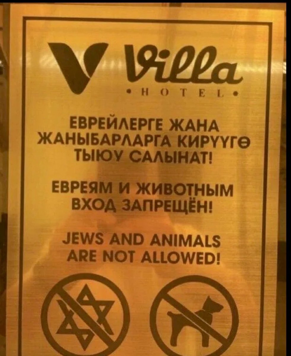 Shirion Collective tweet media