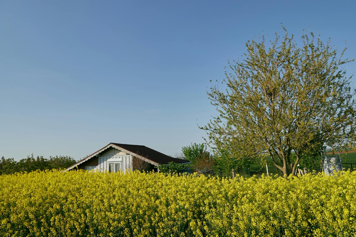 maram.43 tweet media