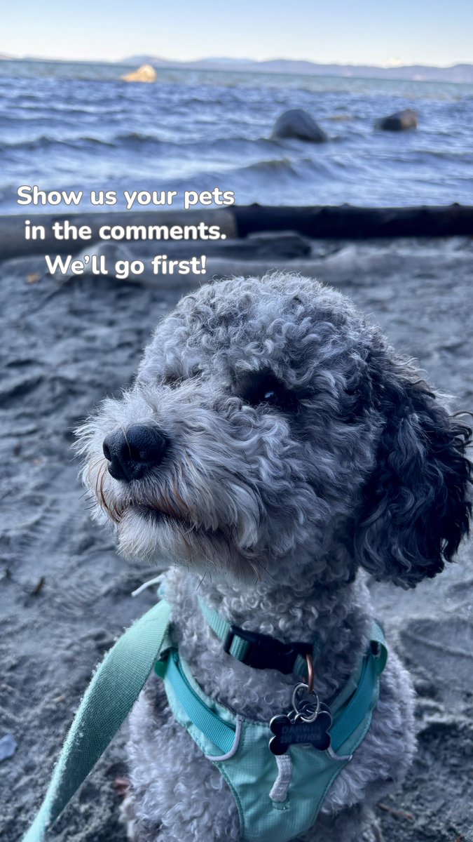 Photo Monster tweet media