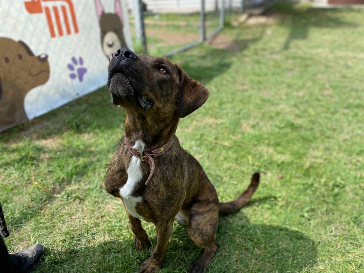 MetroCDMX tweet media