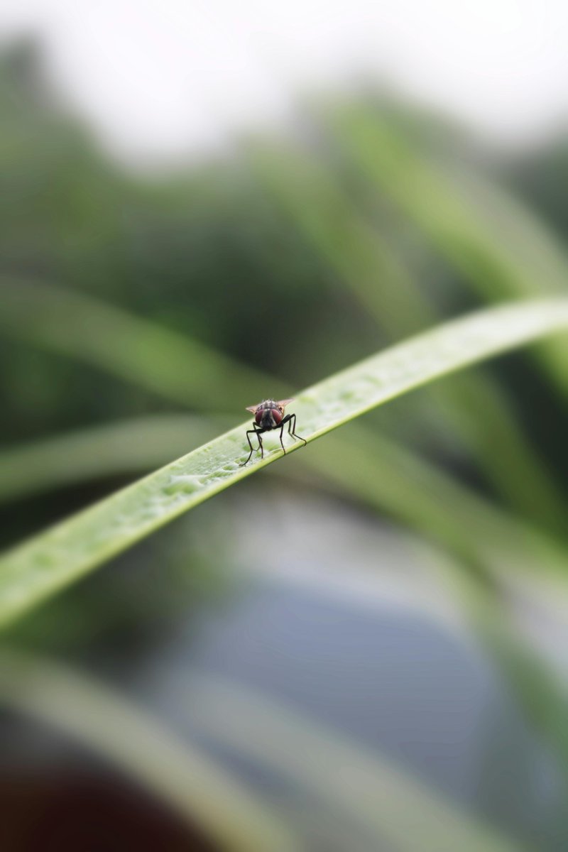 im back bitch tweet media