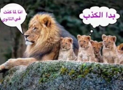𝐫𝐨𝐫𝐢 tweet media