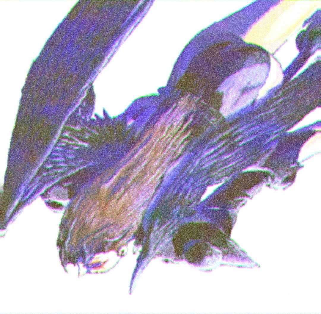 suisoichi tweet media