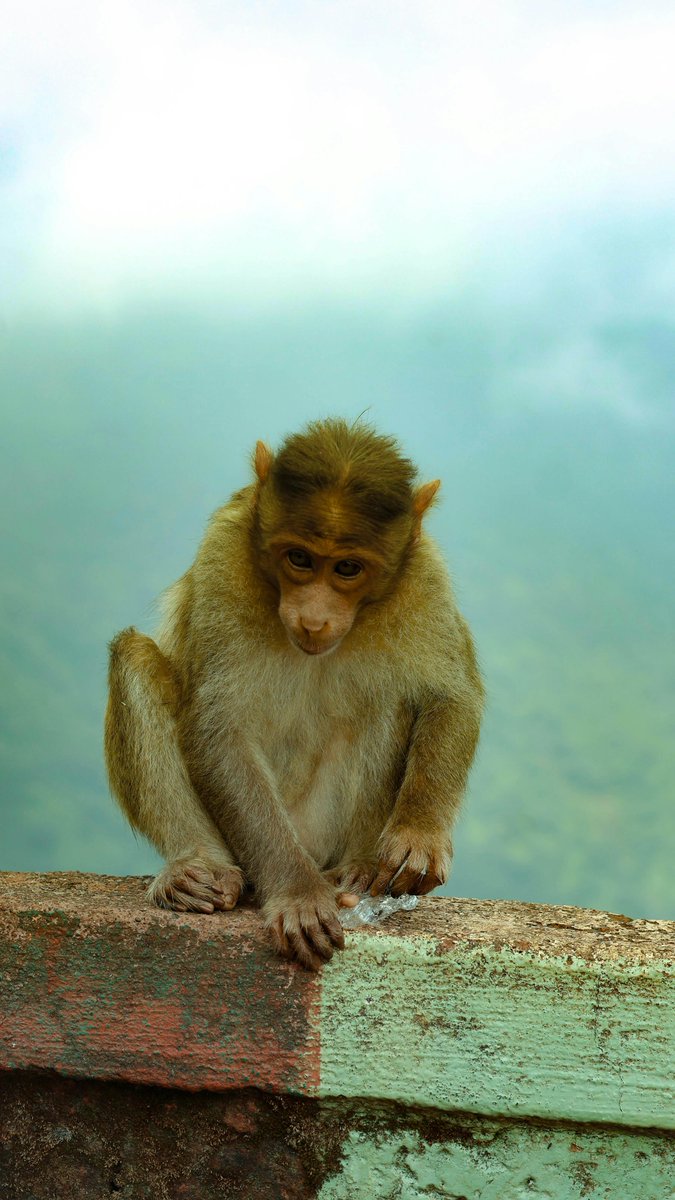 rumbo🔆 tweet media