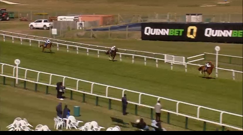 ELITE TIPS ⚽️🐎 tweet media