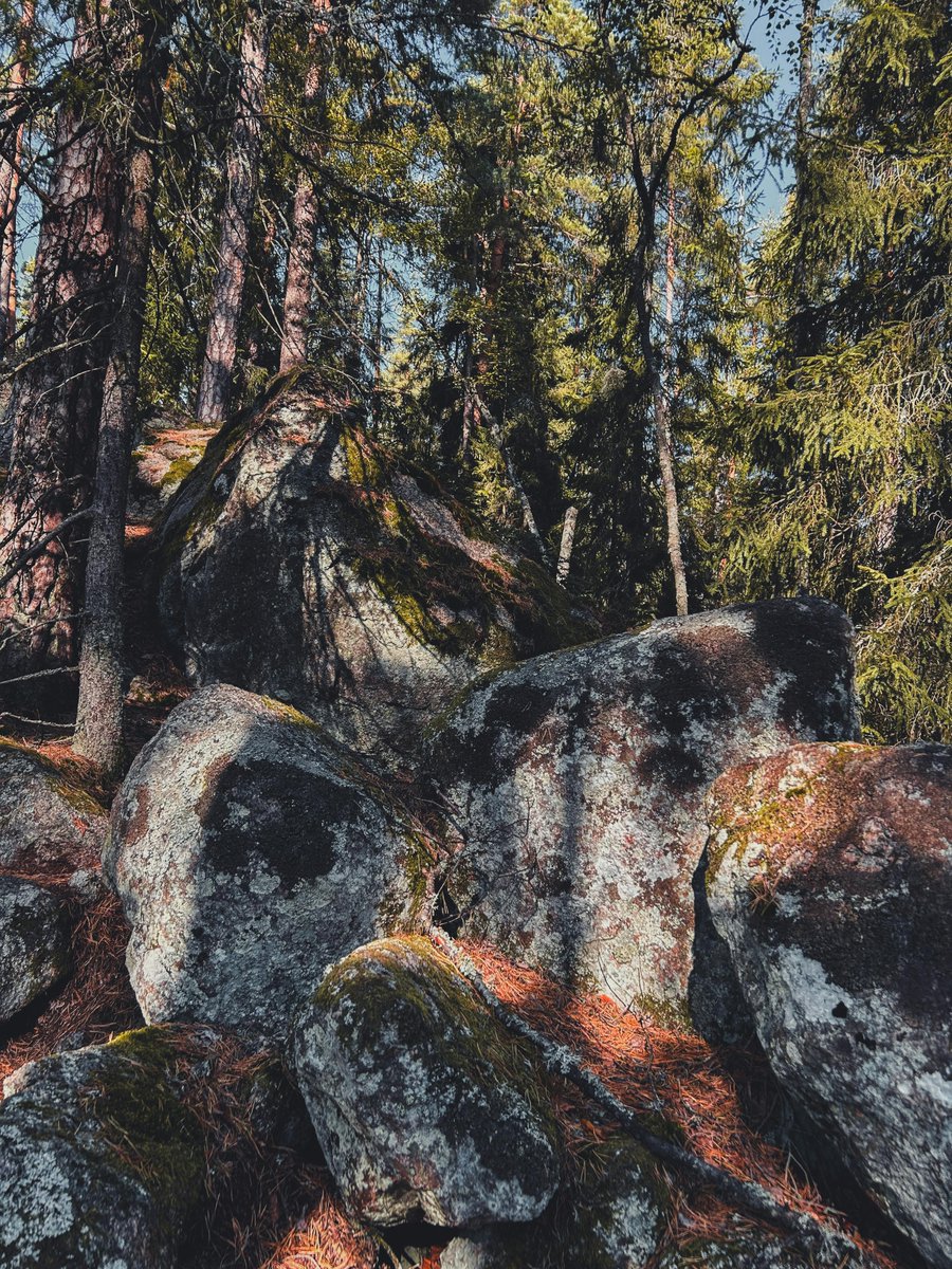 im back bitch tweet media