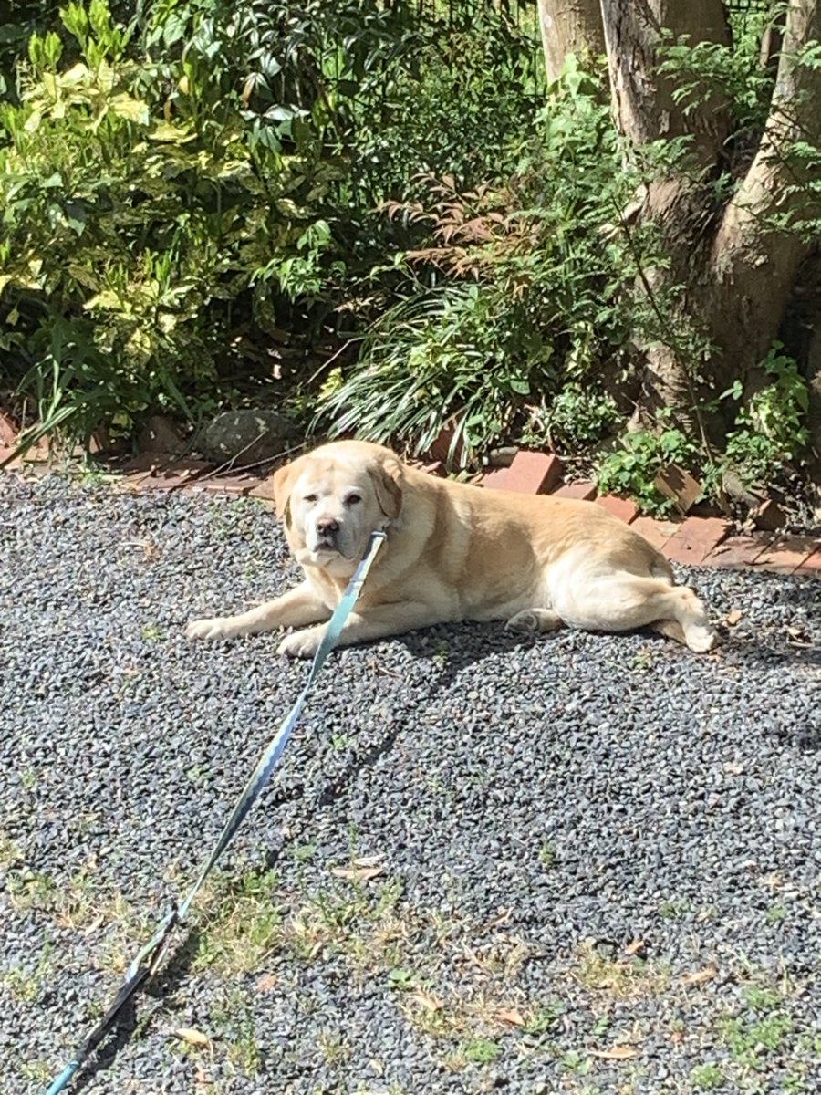 どうも