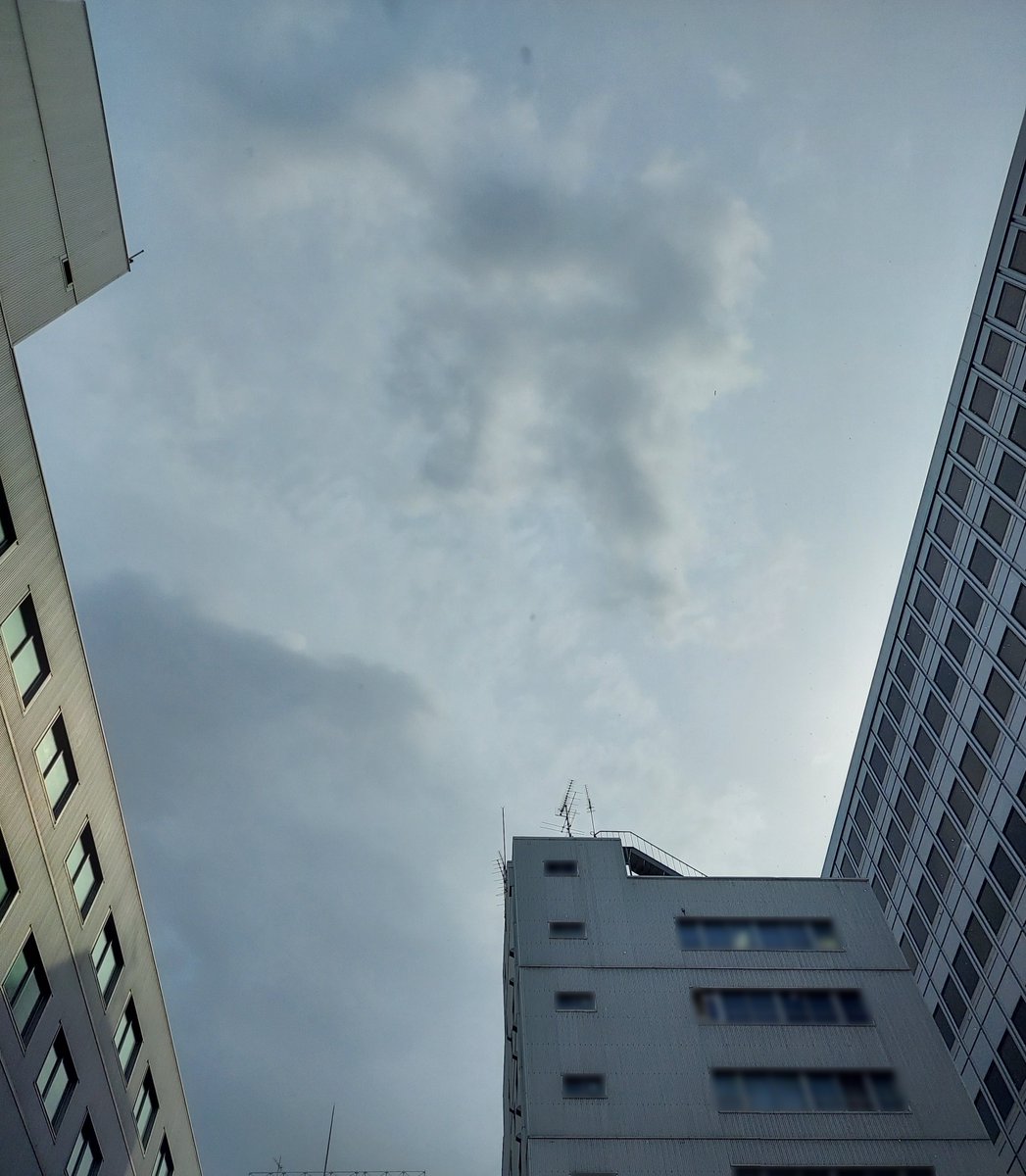 【公式】㈱フレンセル　NS事業部 tweet media