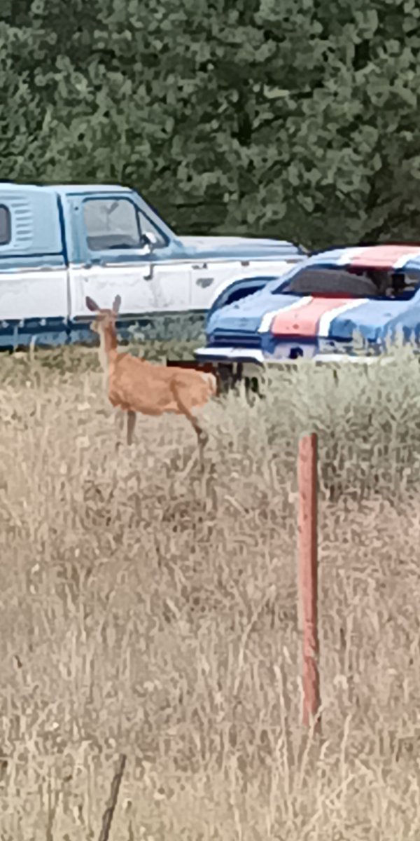 Juan Tyrus tweet media