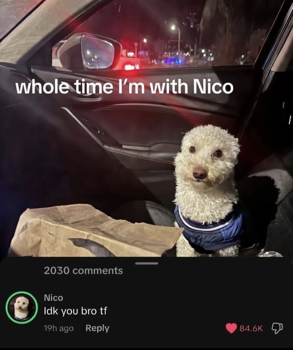 Your Typical Local Man tweet media