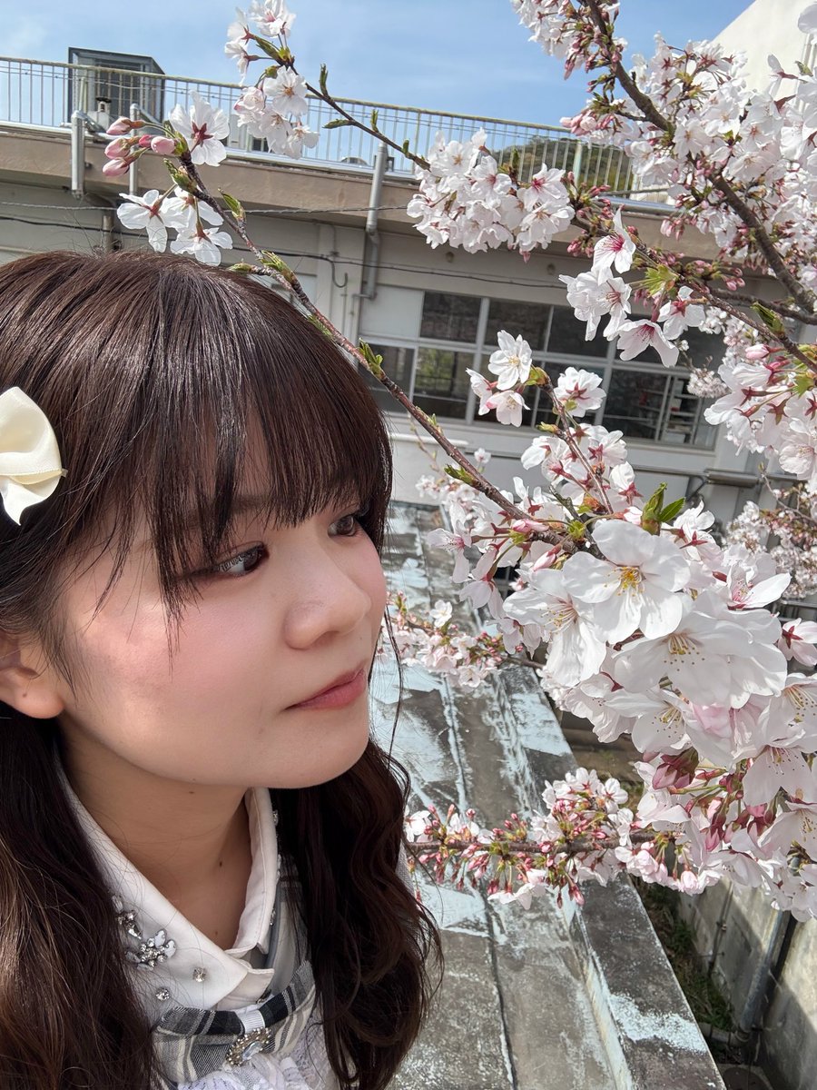 汐咲凪沙〖Dear Princess〗 tweet media