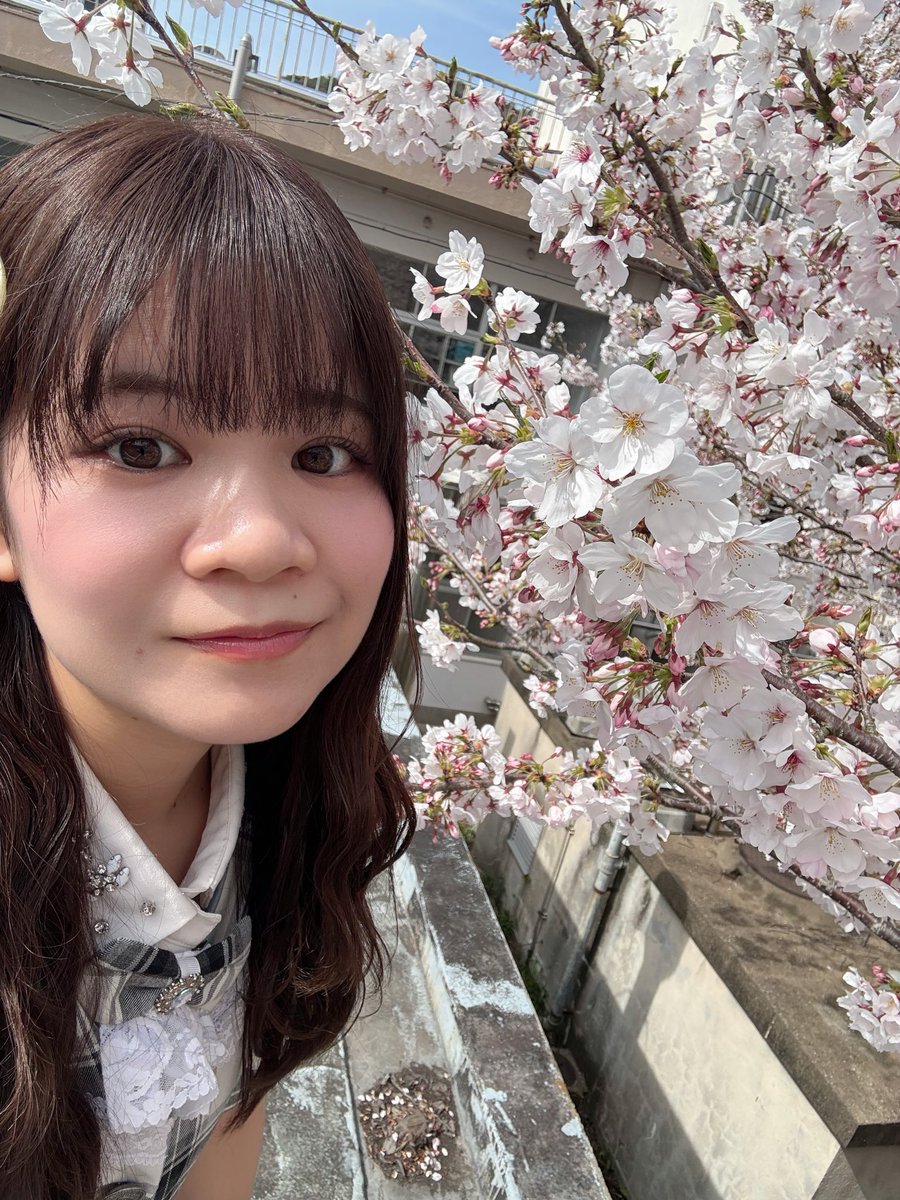 汐咲凪沙〖Dear Princess〗 tweet media