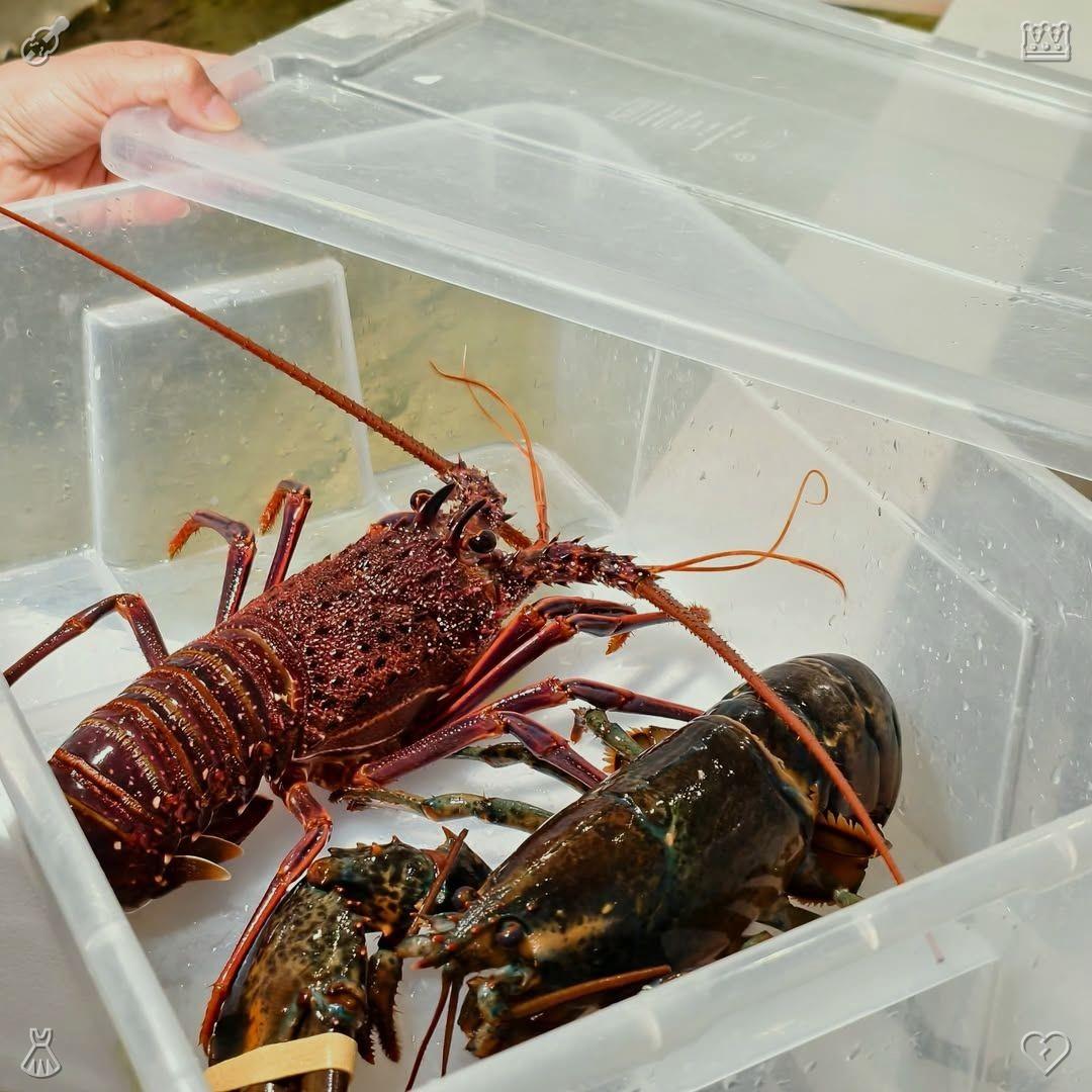 shymi（・Θ・） tweet media