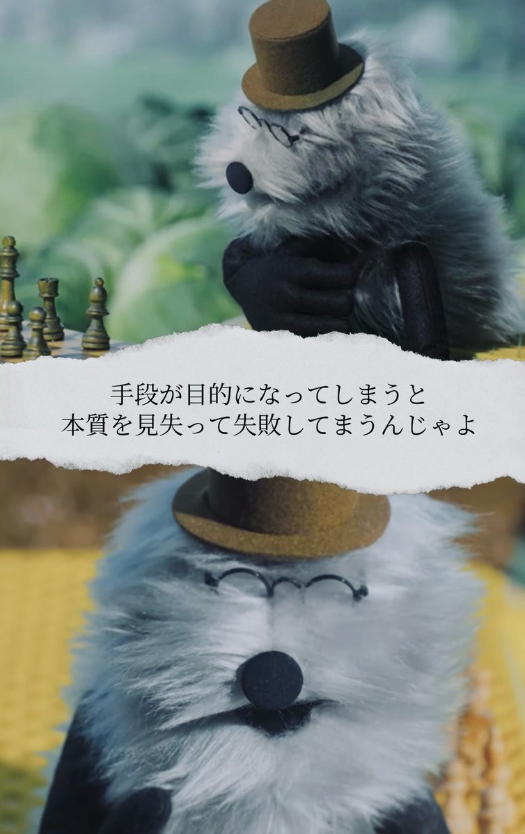 maosunsun tweet media