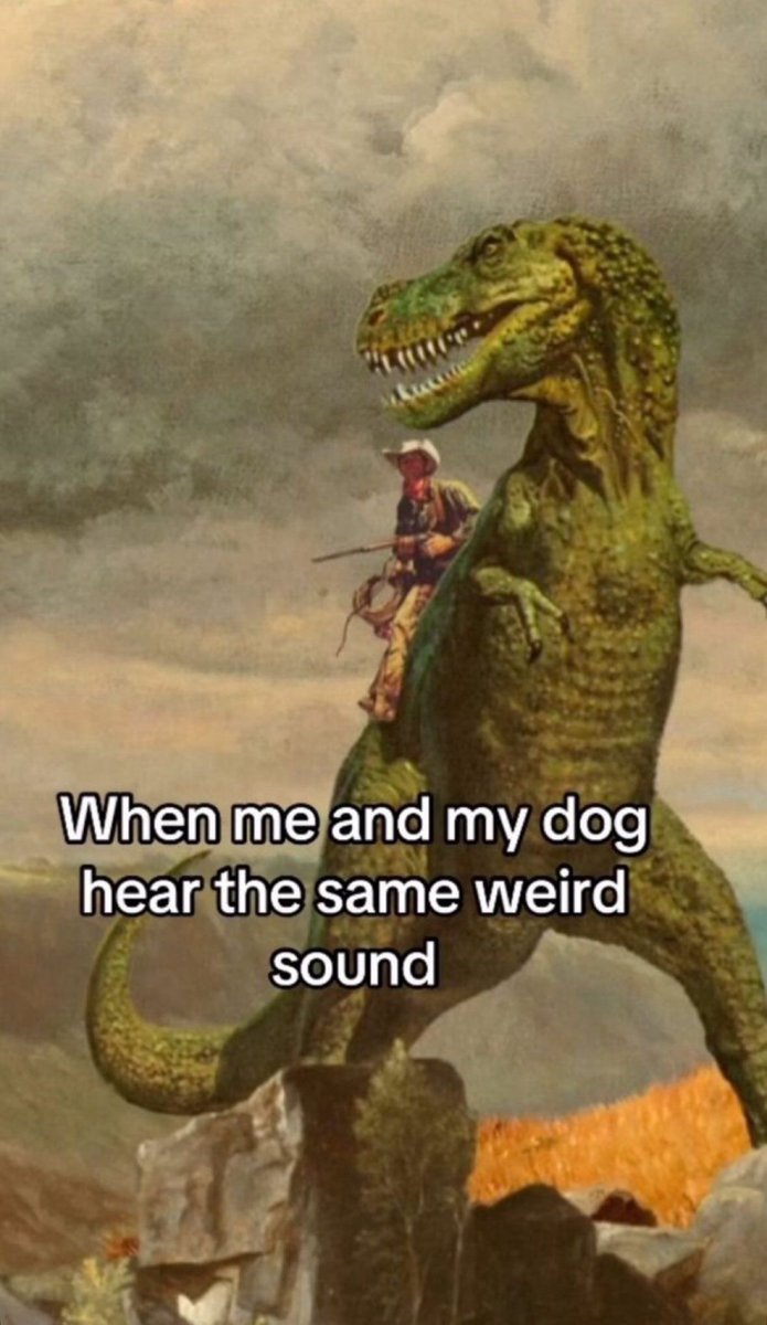 dex 💫 tweet media