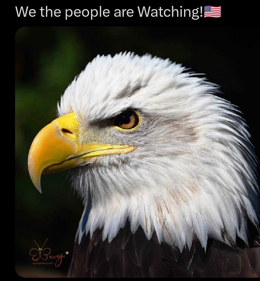 Skilledpro tweet media