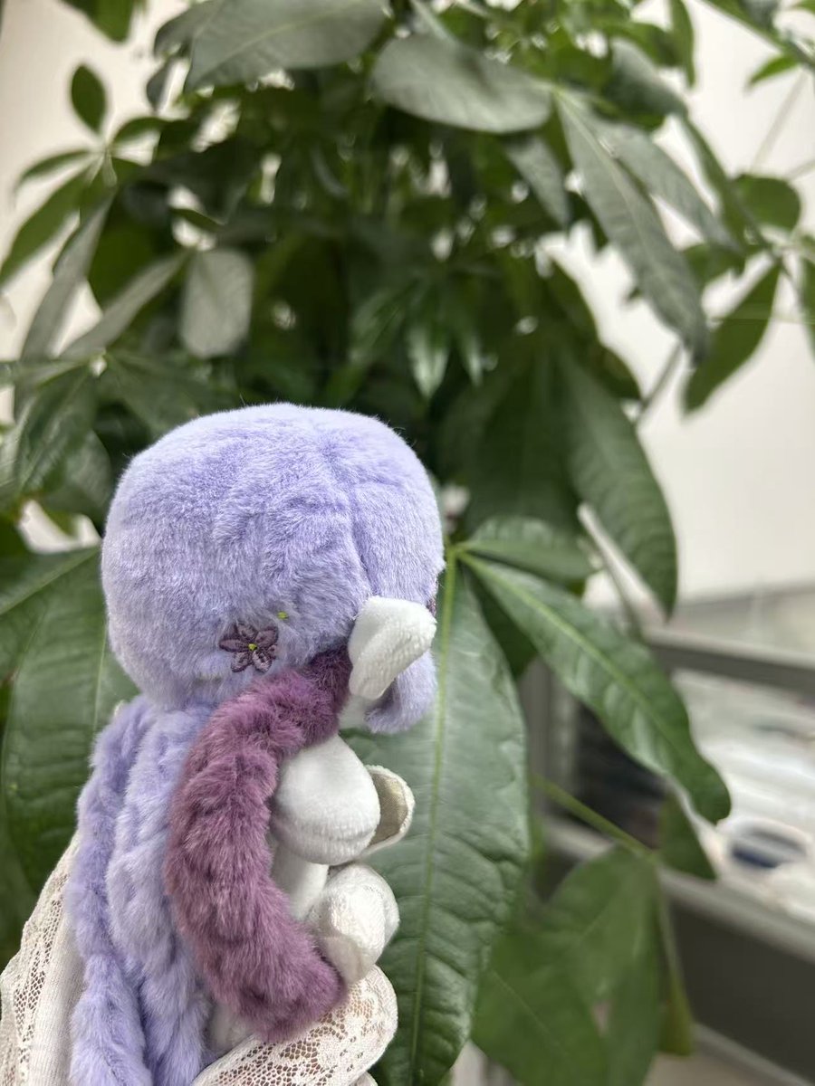 mo_murida_yo's tweet photo. 修正版は耳無し、髪はA料で作ってもらう🥰 https://t.co/TIzmW4jIGV
