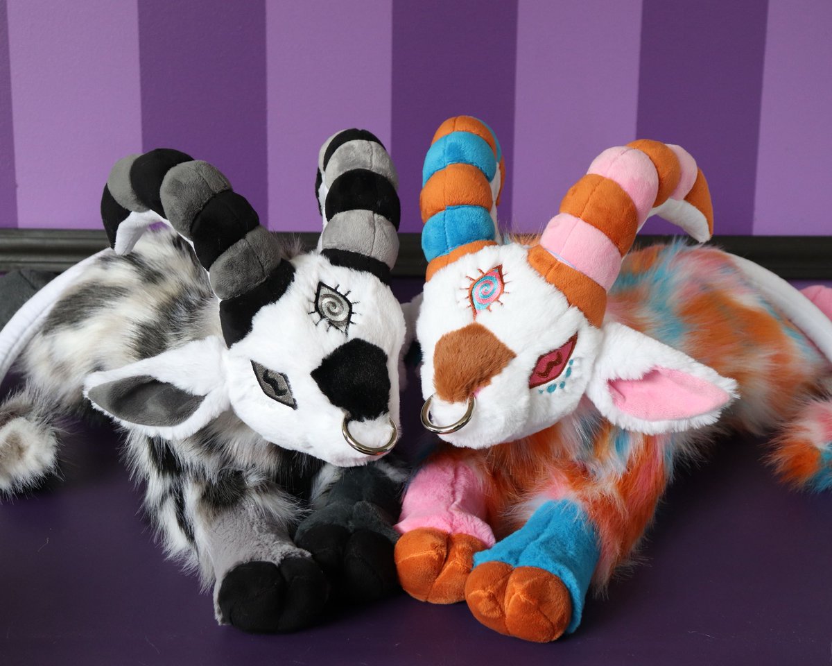 Cirquell Curiosities ✨ tweet media