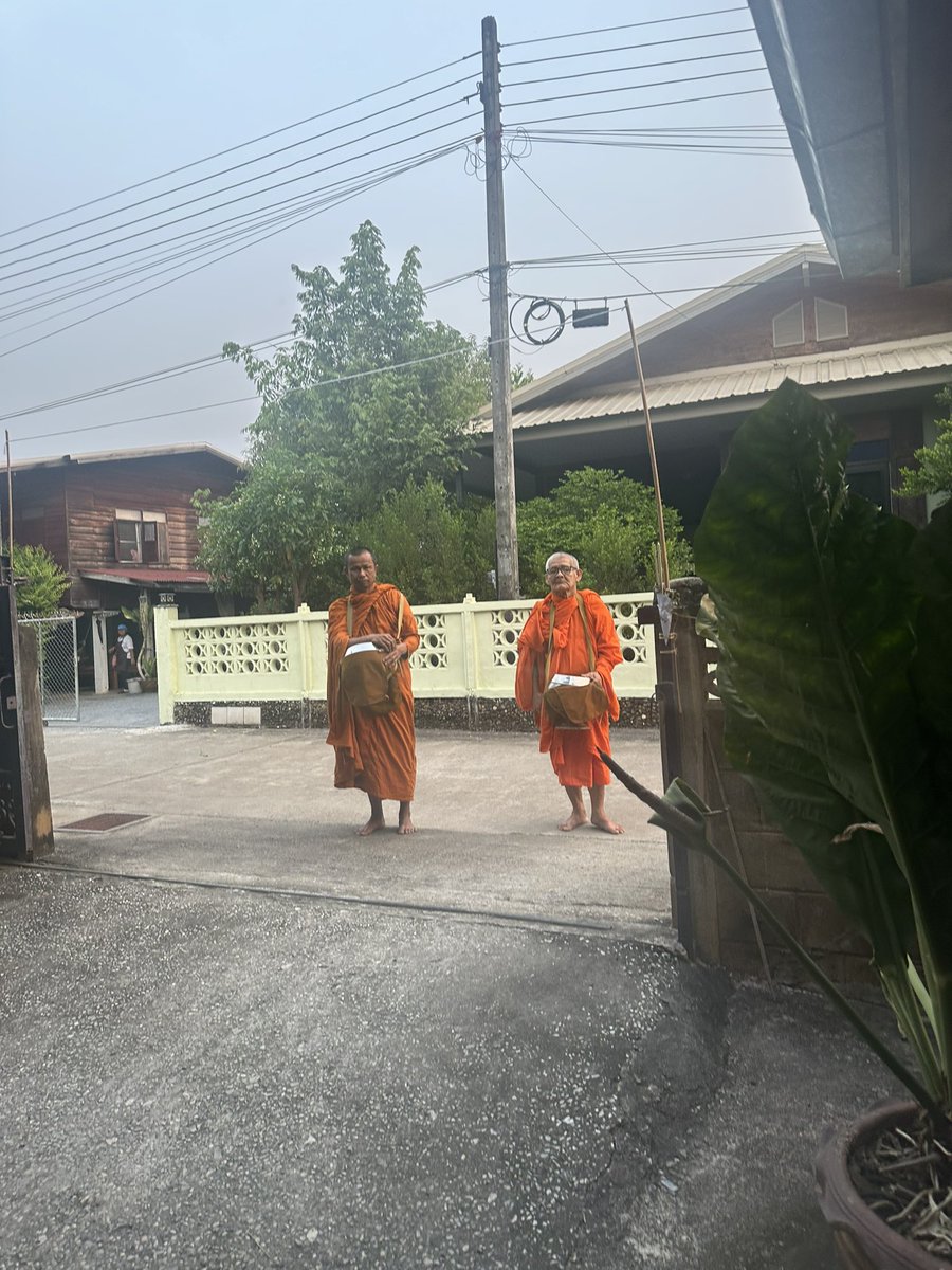 chompu2128 tweet media