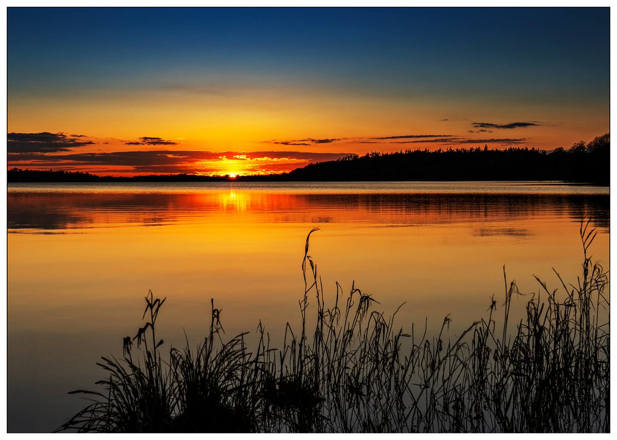 ThisIsIreland3's tweet image. Goodnight from Ireland &amp;amp; Westmeath 🌅 

Sleep well and peacefully 💚

📍Lough Lene, Co. Westmeath 🇮🇪 

📸 Willie Forde Photography

#Goodnight #Ireland #Westmeath #Peace #Sleep #LoughLene