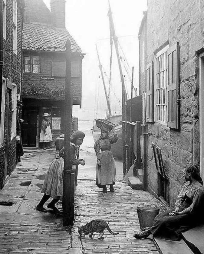 Academic Agent tweet media