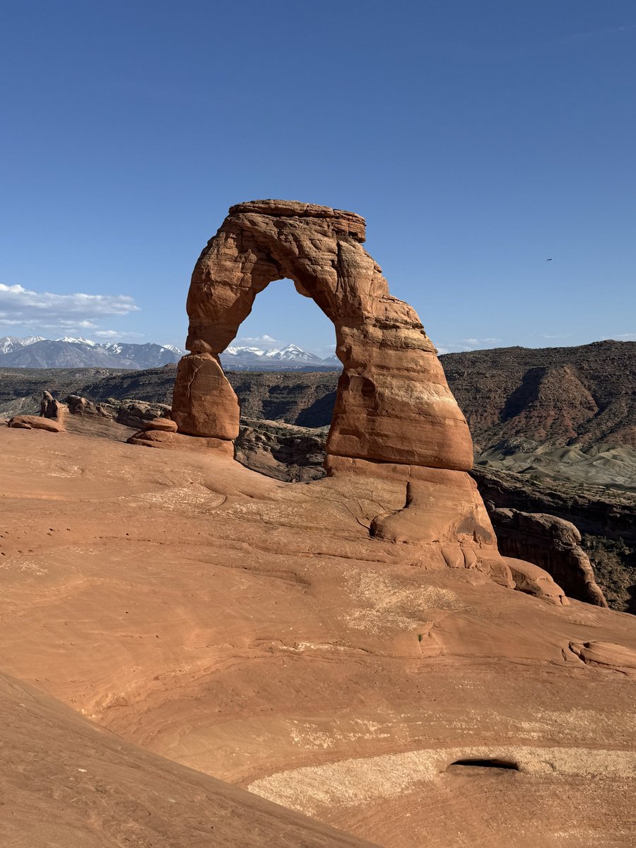 Philipp Krenn tweet media