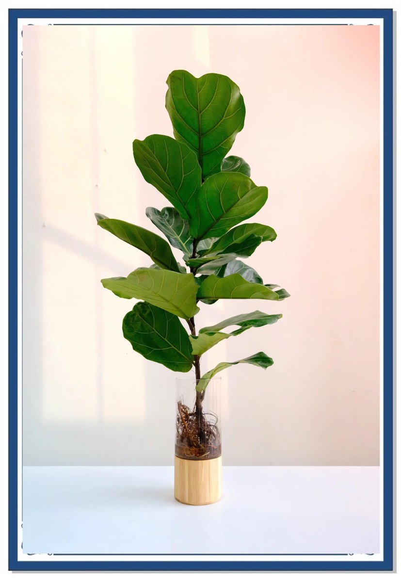 Bahan Ajar Guru  tweet media