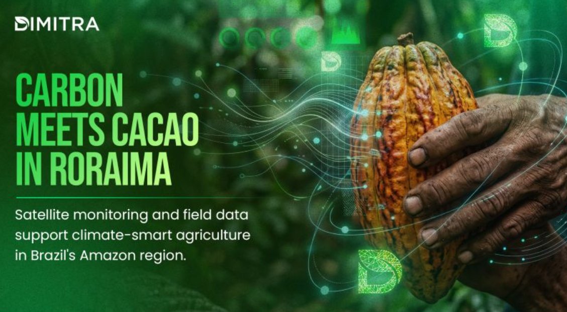 Neptali1309's tweet image. In Roraima, Brazil, plots are already being georef., carrying out deforestation analysis on a digital path that will not only provide data governance to the organization but will also lead them to issue carbon credit; we can do the same in Peru. Dimitra Technology #DMTRTeam $DMTR