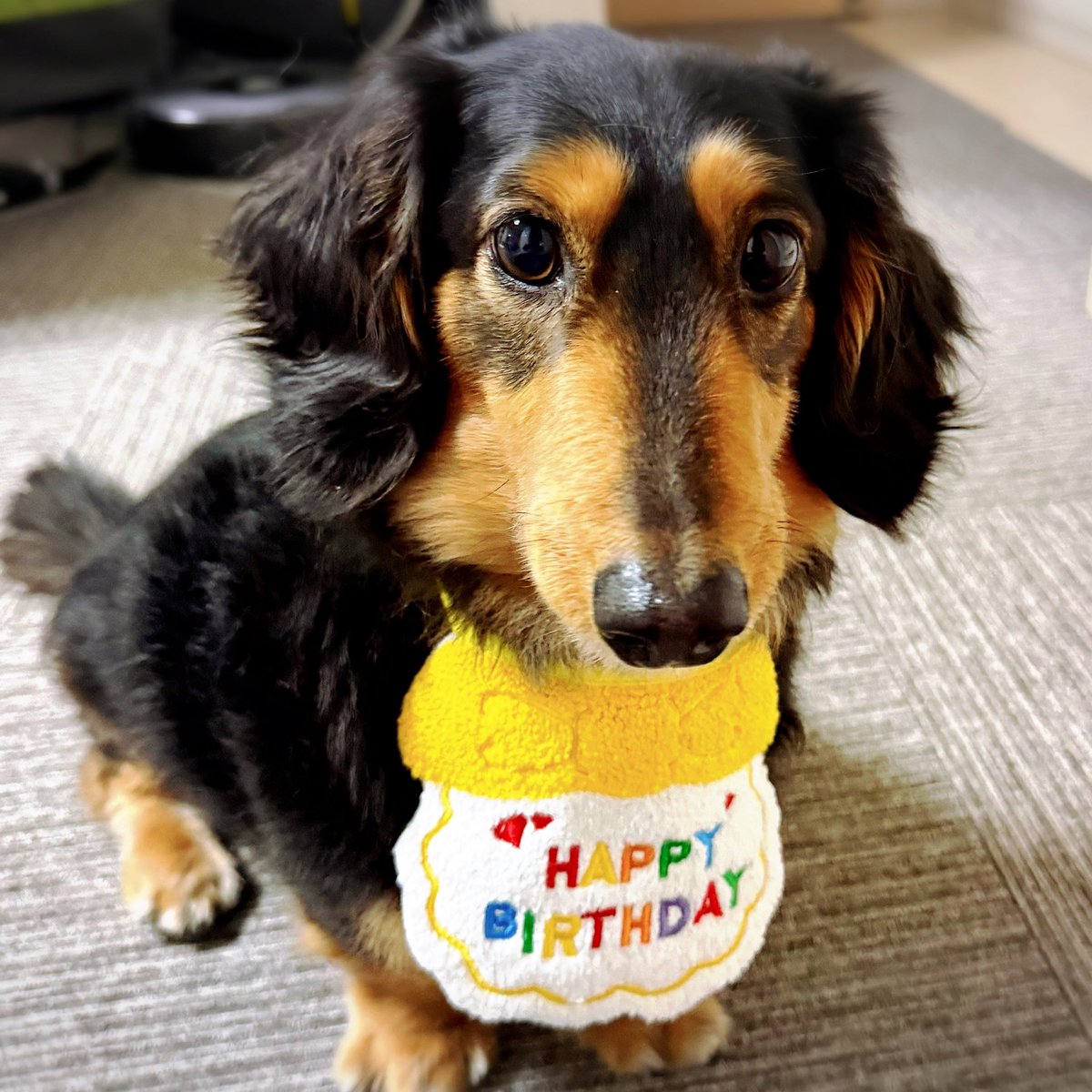 いなころ tweet media