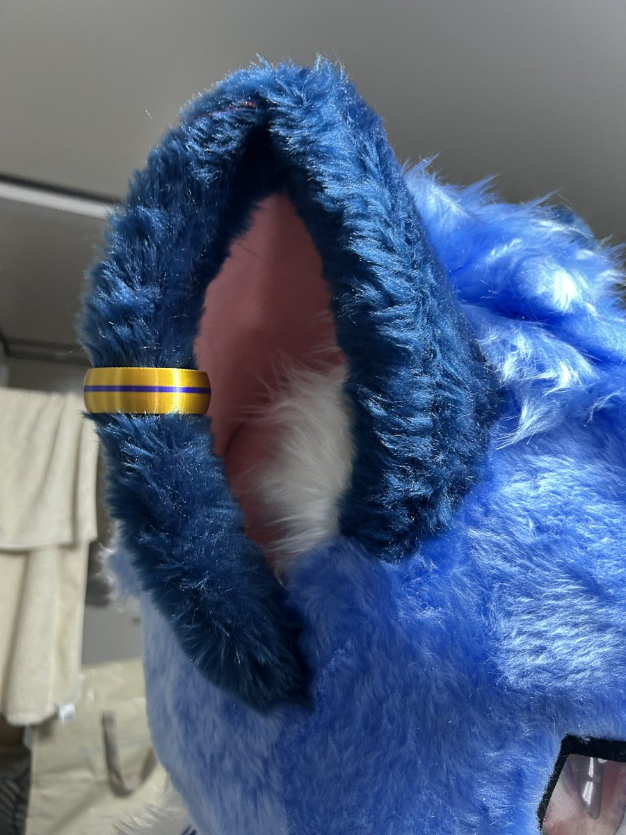 Viruf_wolf0405's tweet photo. みんなおはよー🐺
僕の右耳にイヤカーフ付いてるのみんな気づいてるかな？
これはレックスがけものエン2(@kemonoen)っていうイベントで買ってきてくれたんだよね！
真ん中に青いラインが入ってるのが僕のお気に入り✨

 #FursuitEveryday 
 #Furry https://t.co/9j8OLbhClq