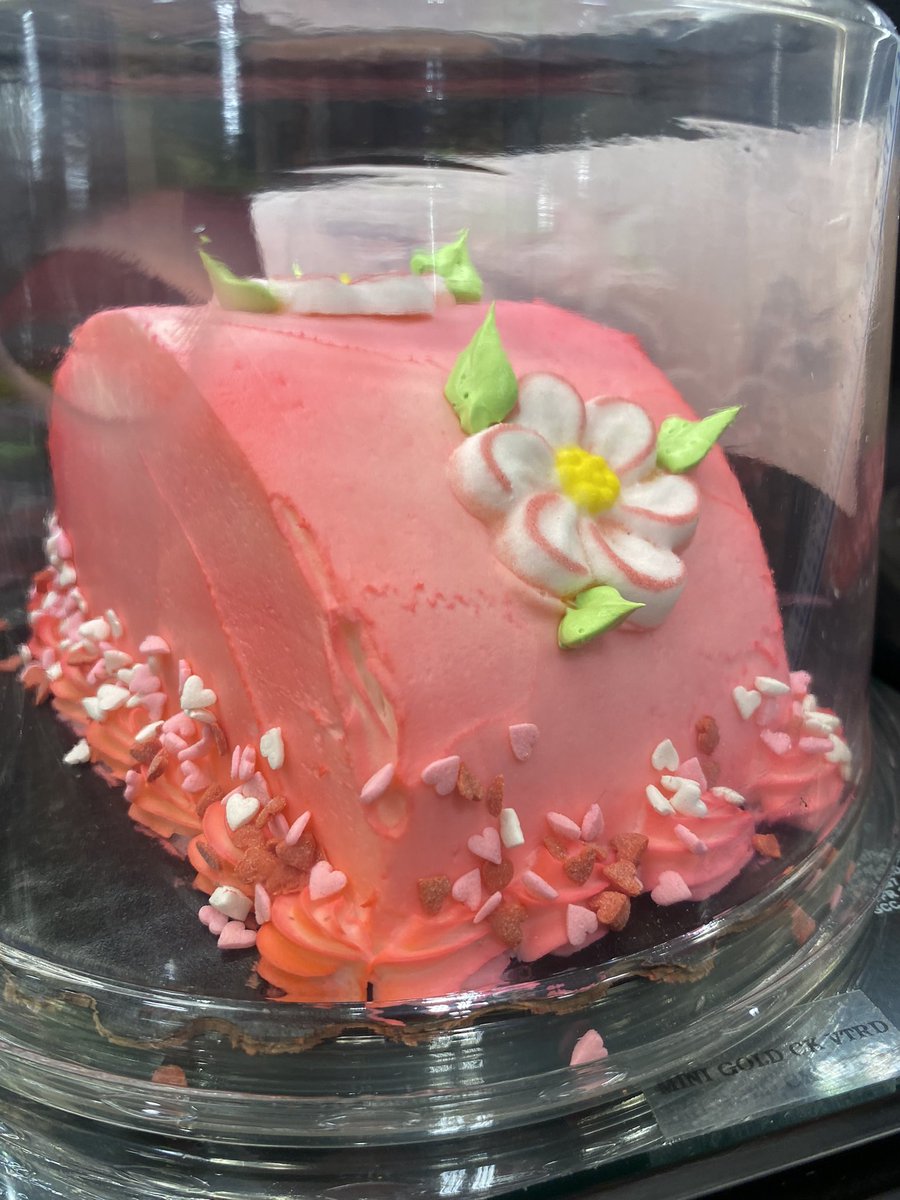 Tai🪼🍃🌌 tweet media