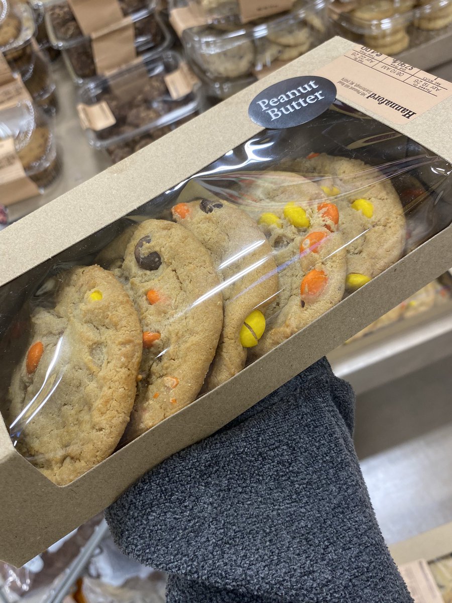 Tai🪼🍃🌌 tweet media