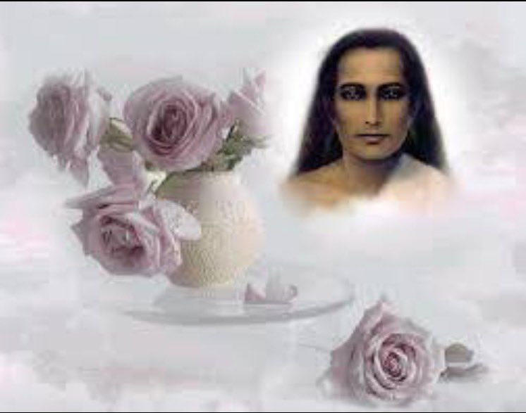 Mahavatar Babaji tweet media