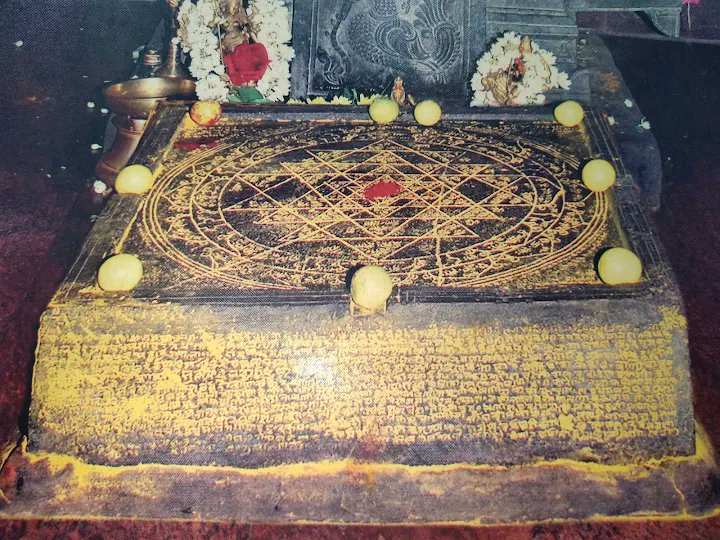 Suchi Sharma tweet media