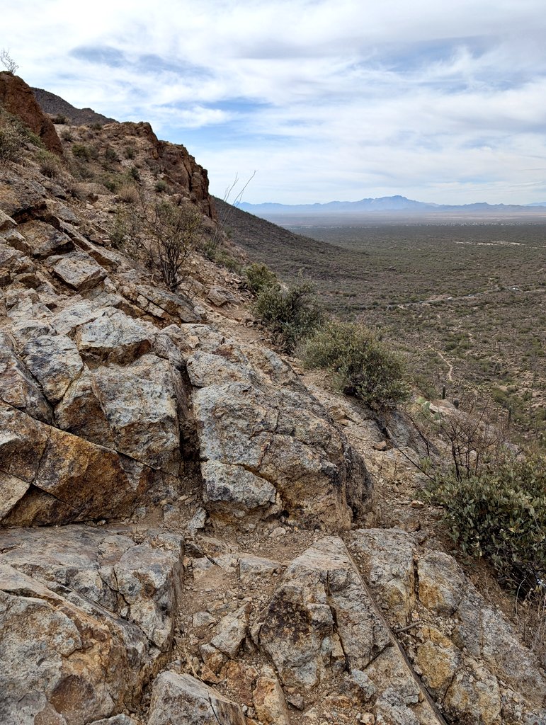 Rattlesnake Matty tweet media