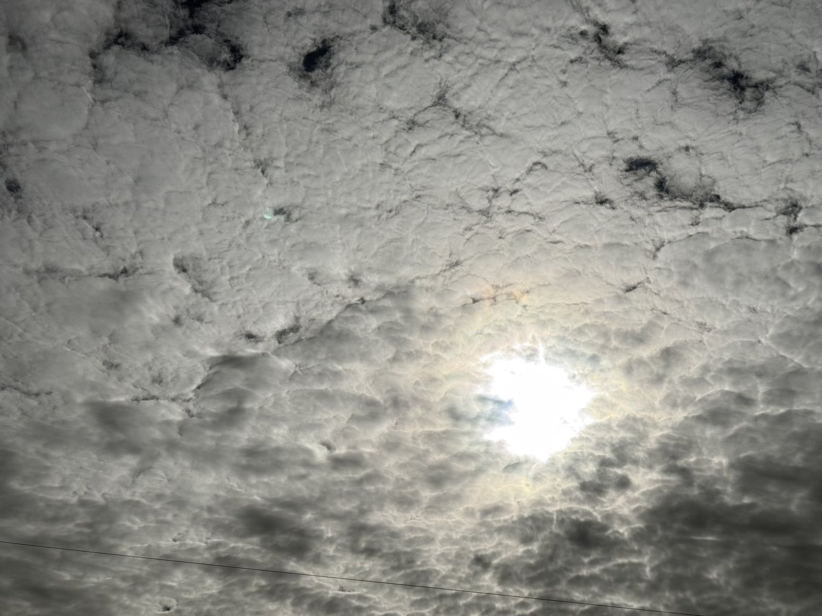 株式会社タイセイウエルド tweet media