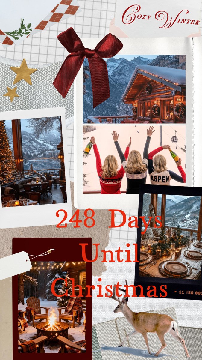 Christmaslvr147's tweet image. 🎄🎅🏼Daily Christmas Countdown 🎅🏼🎄❄️248 days until Christmas ❄️ #christmas #christmas2026 #christmascountdown #christmasiscoming #christmastree