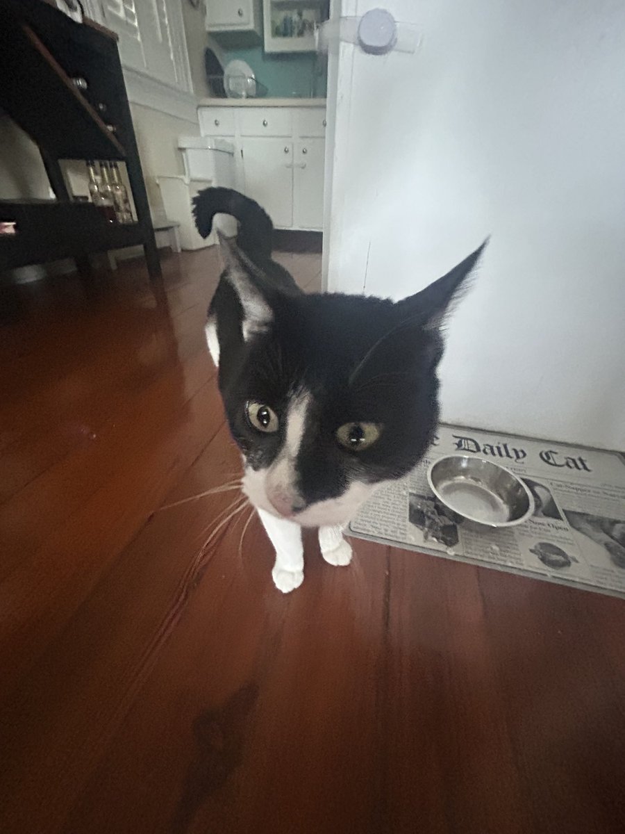 🅱️ABKA !! tweet media