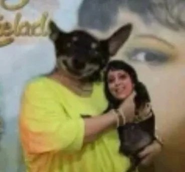 Pedro 🍍 tweet media