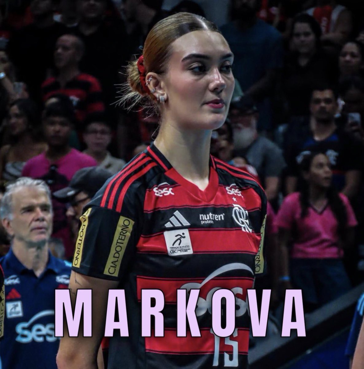 Elite do Vôlei tweet media