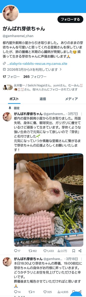 がんばれ芽依ちゃん tweet media