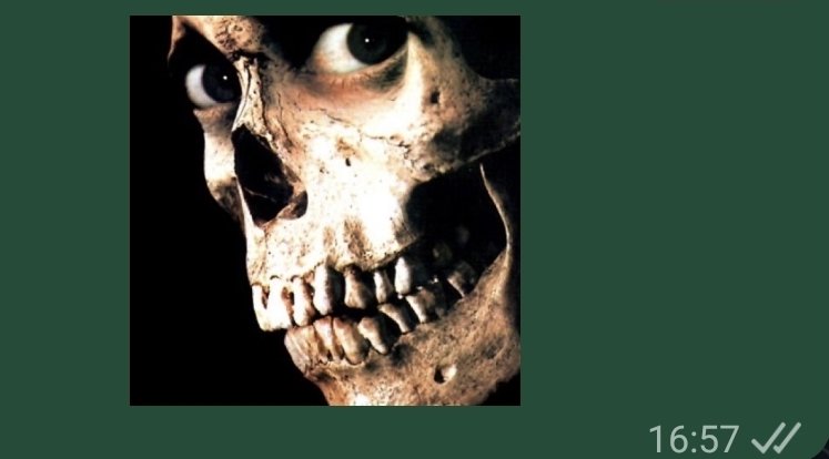 Juliette tweet media