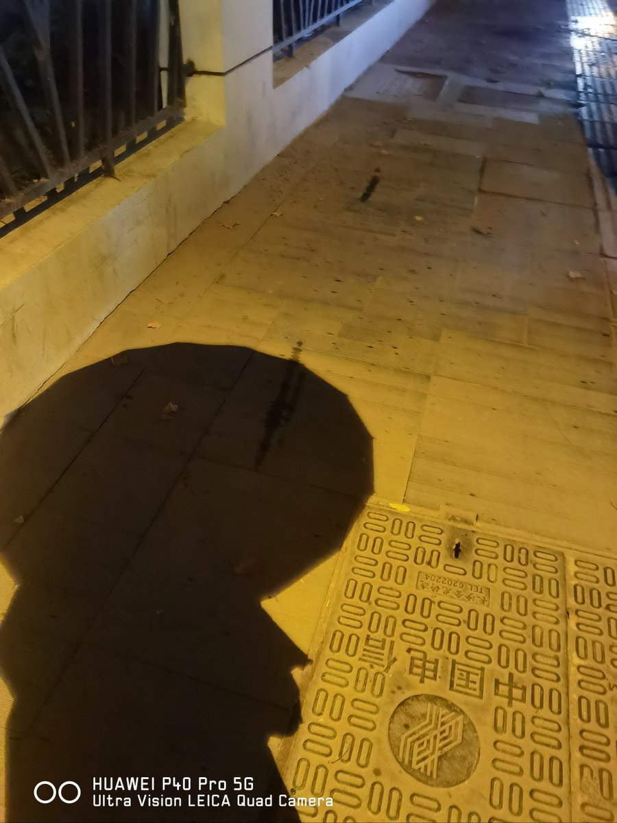 Royesna Stefania tweet media