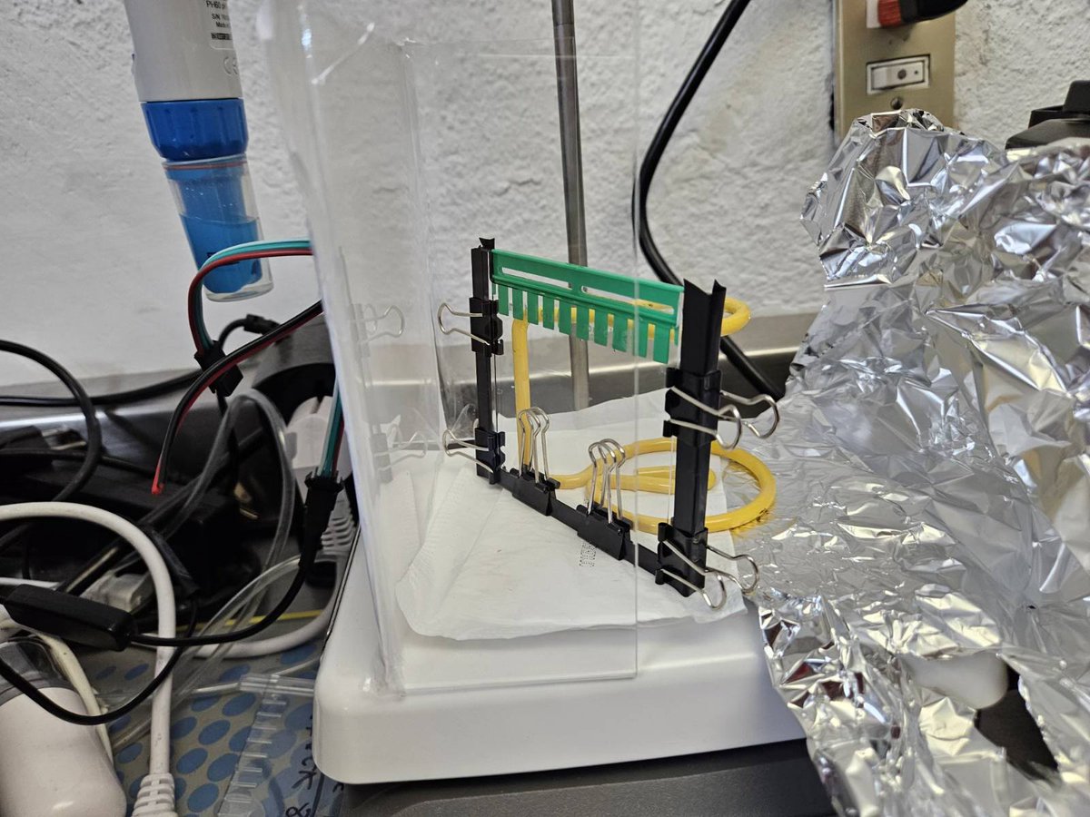 David J. Castillo-Cornejo PhD. 🔬 tweet media