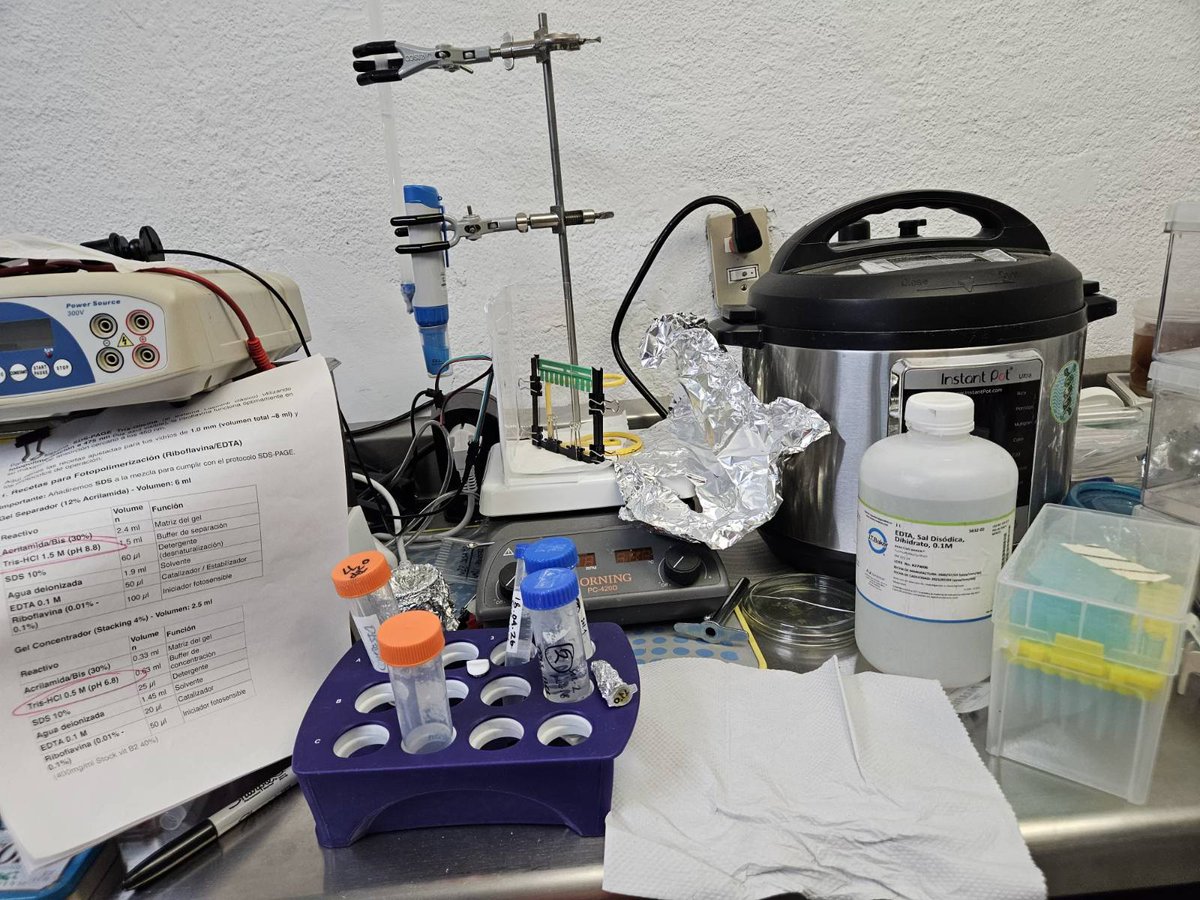 David J. Castillo-Cornejo PhD. 🔬 tweet media