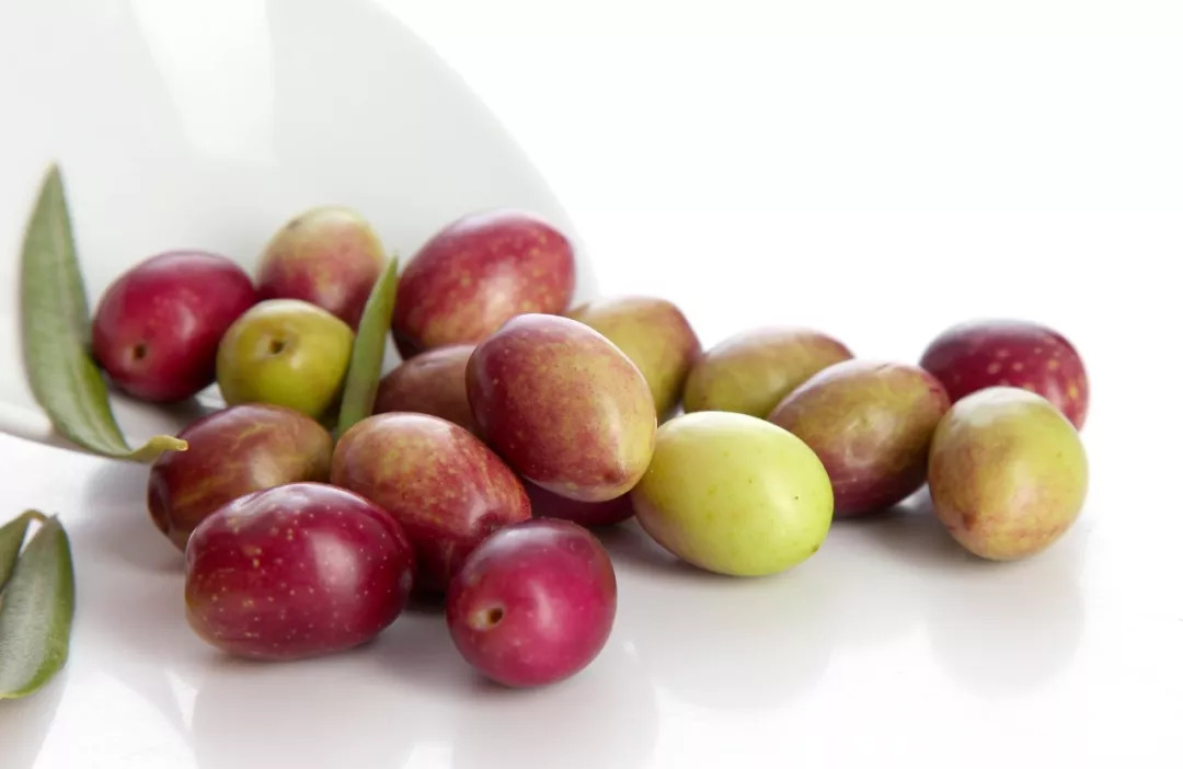 【ツ】 tweet media