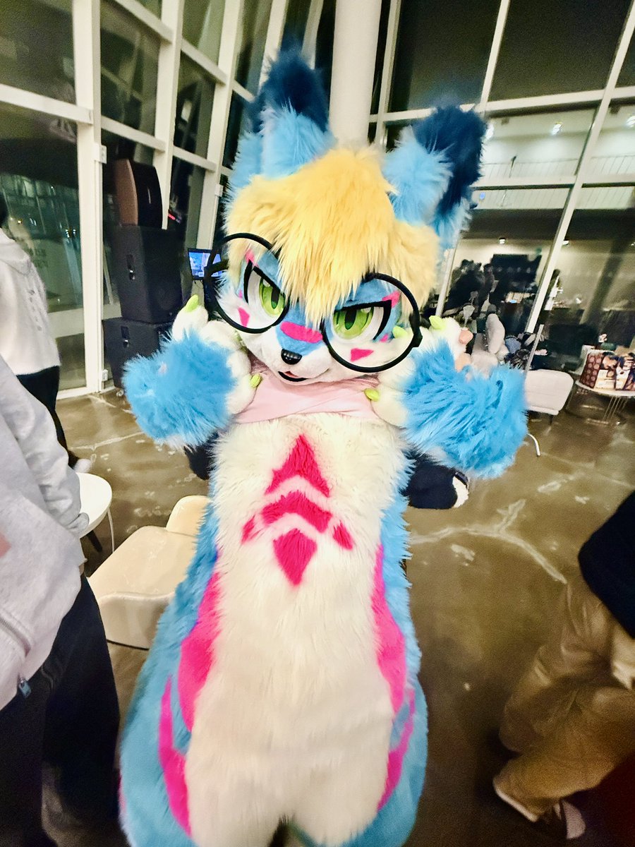 阿鲁🐺 tweet media