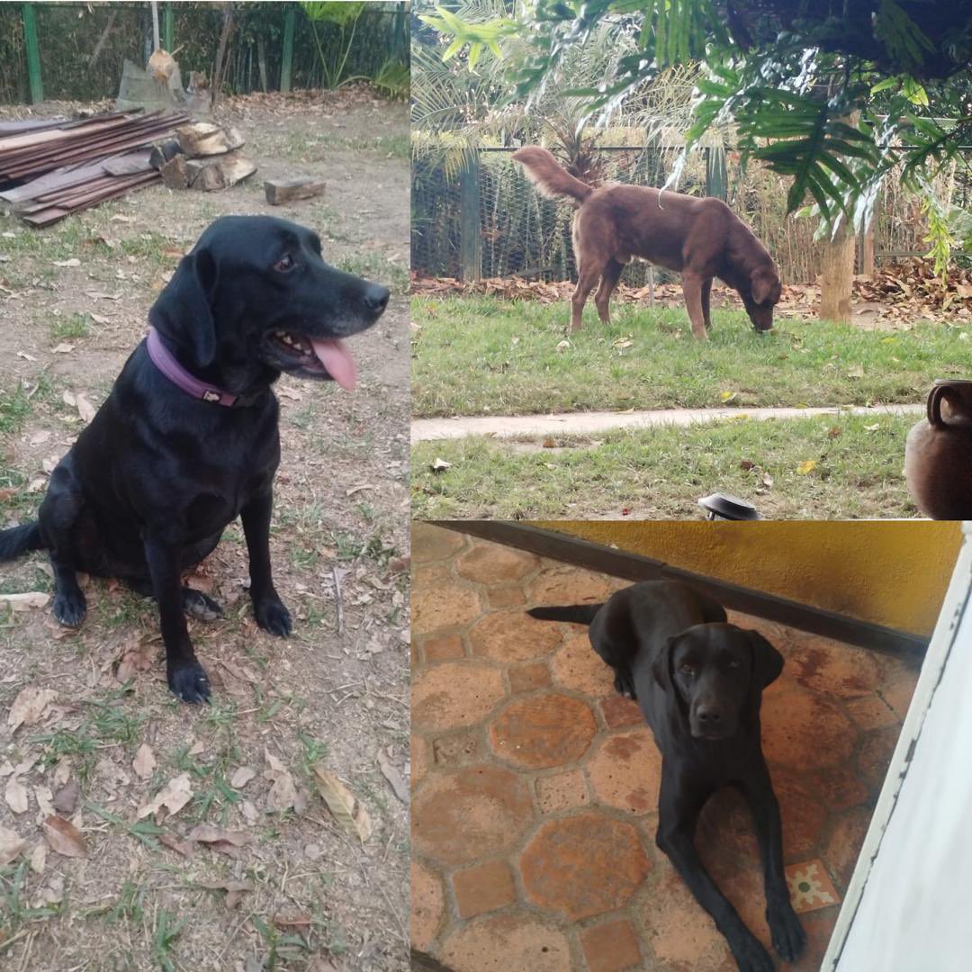 Luis Eduardo Aguilar tweet media